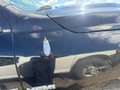 2010 DODGE RAM 1500 SPORT CREW CAB 5.7L HEMI TRUCK PARTING OUT